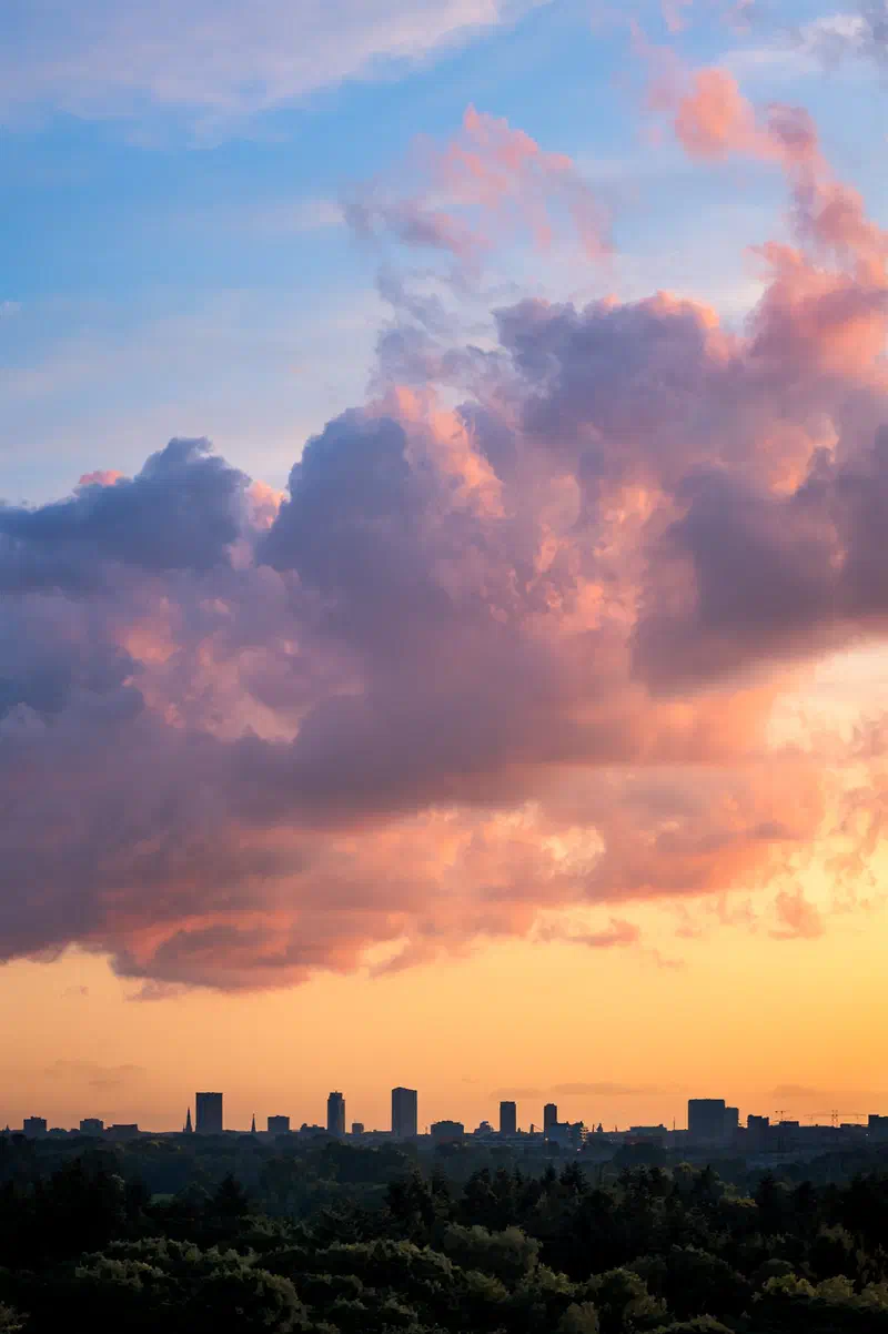 Pink and orange clouds at sunset above a distant Eindhoven city skyline and treeline