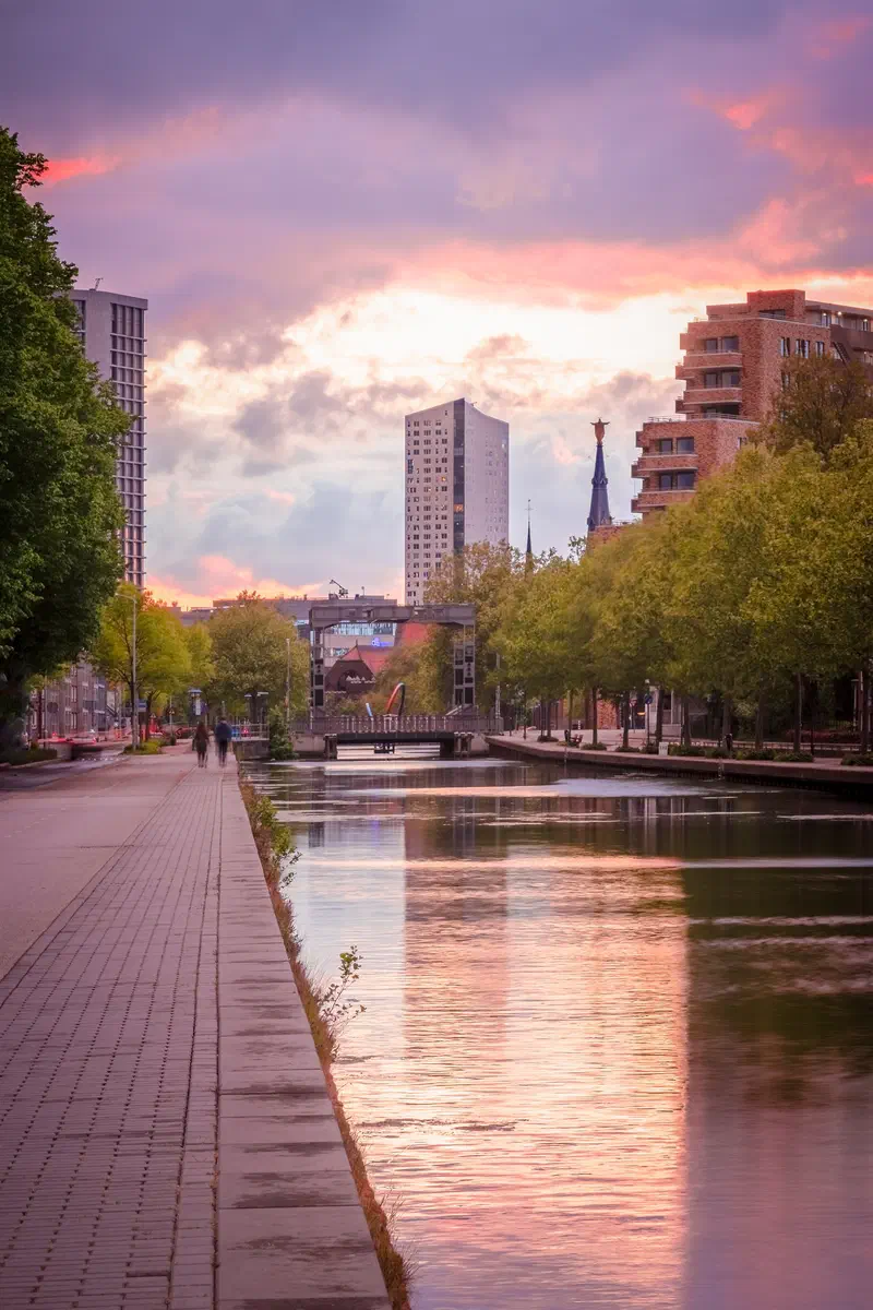 Eindhovens Kanaal and towpath lined with trees under a pink sunset sky