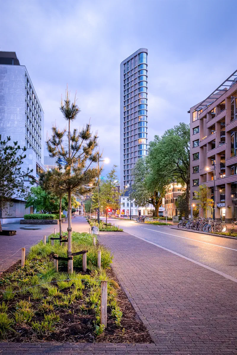 Vestdijk with young trees and a slim glass tower (Vestedatoren) in soft evening light