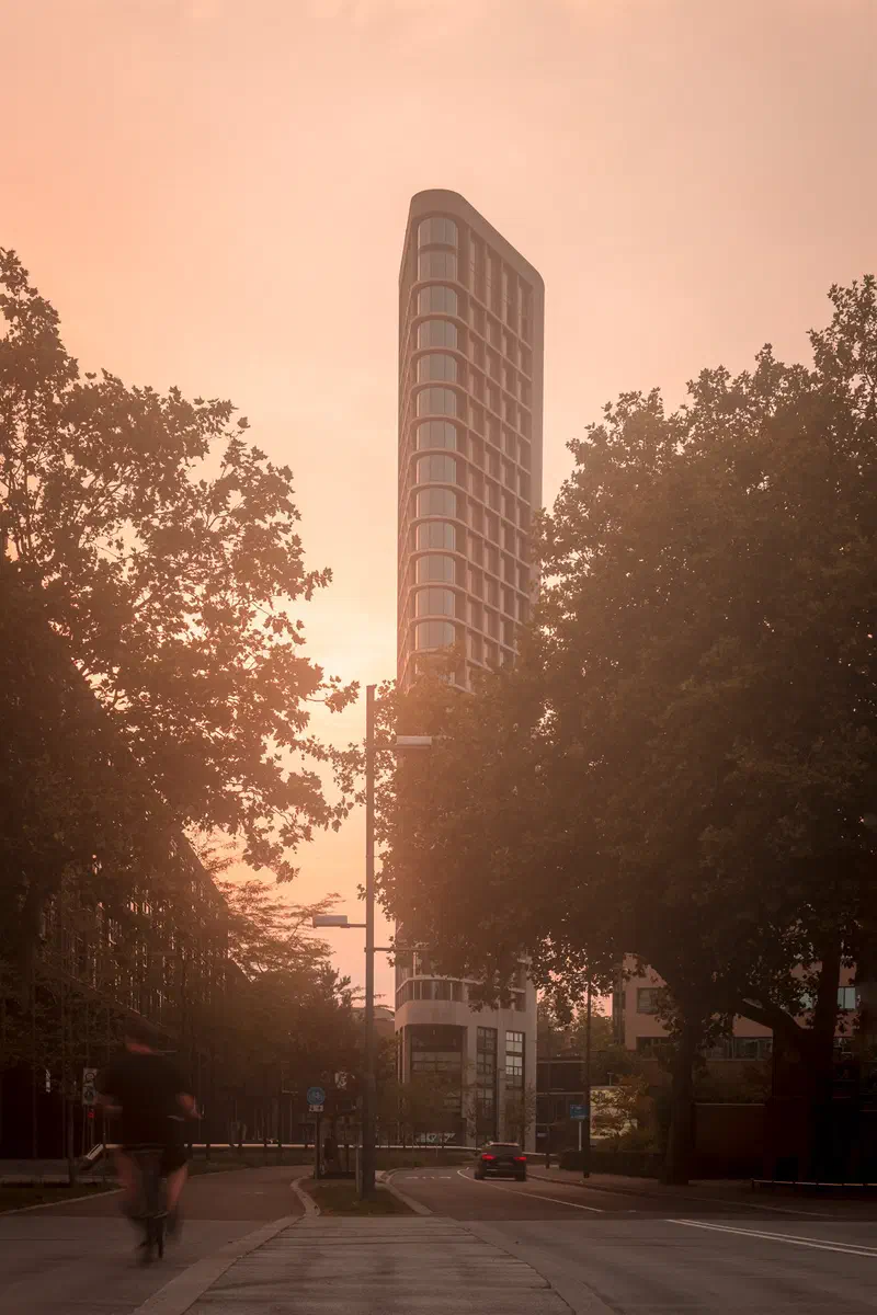 Slender tower (Vestedatoren) glowing in golden mist between trees