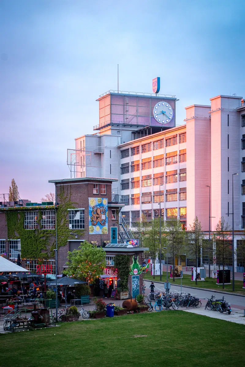Clock tower (Klokgebouw) building and a park lawn (Strijp-S) in pink evening light