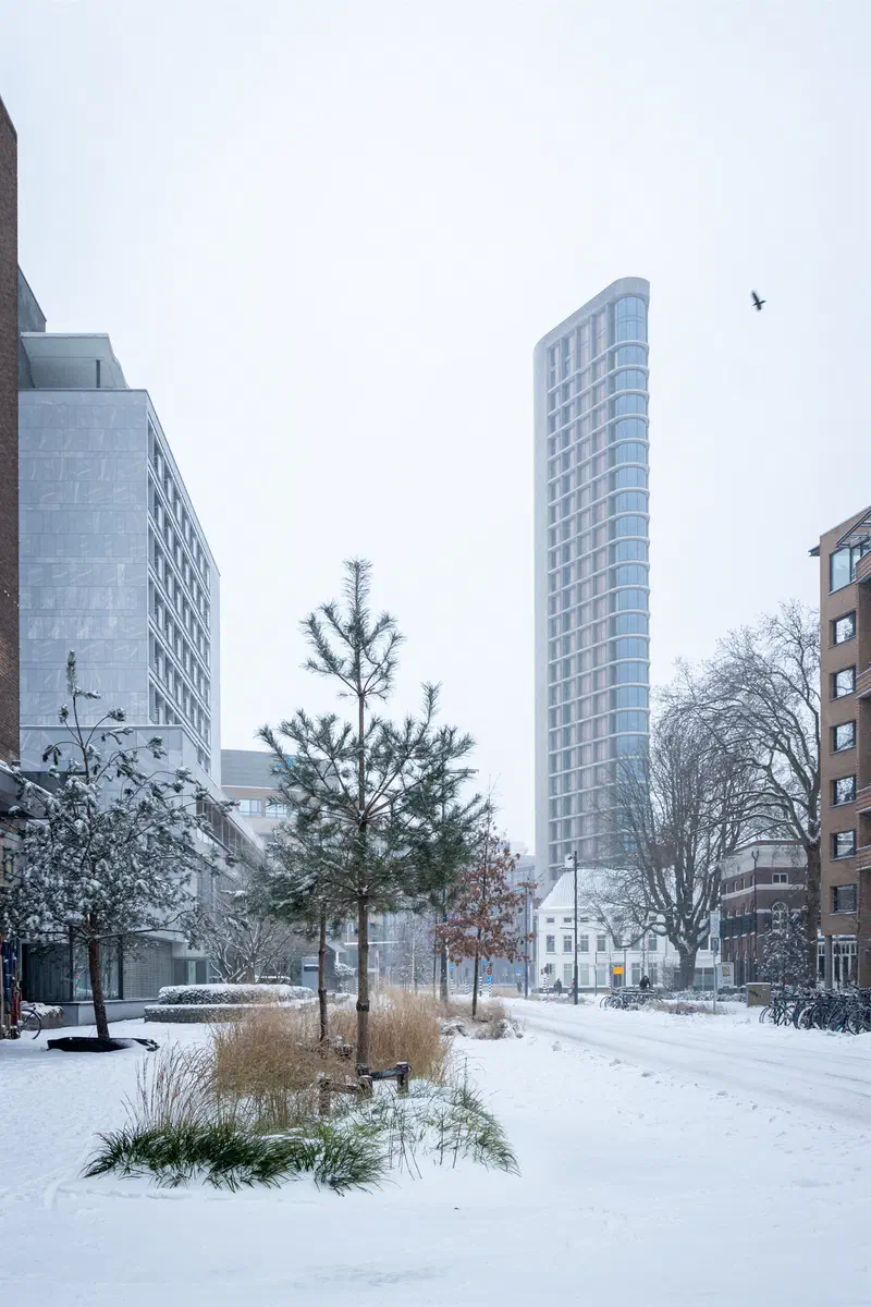 Snow-covered street (Vestdijk) with pine trees and a slim tower (Vestedatoren)