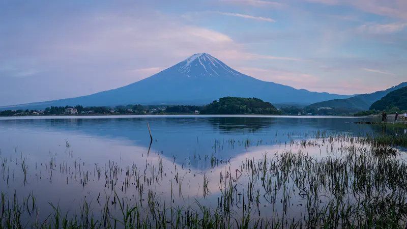 Travel